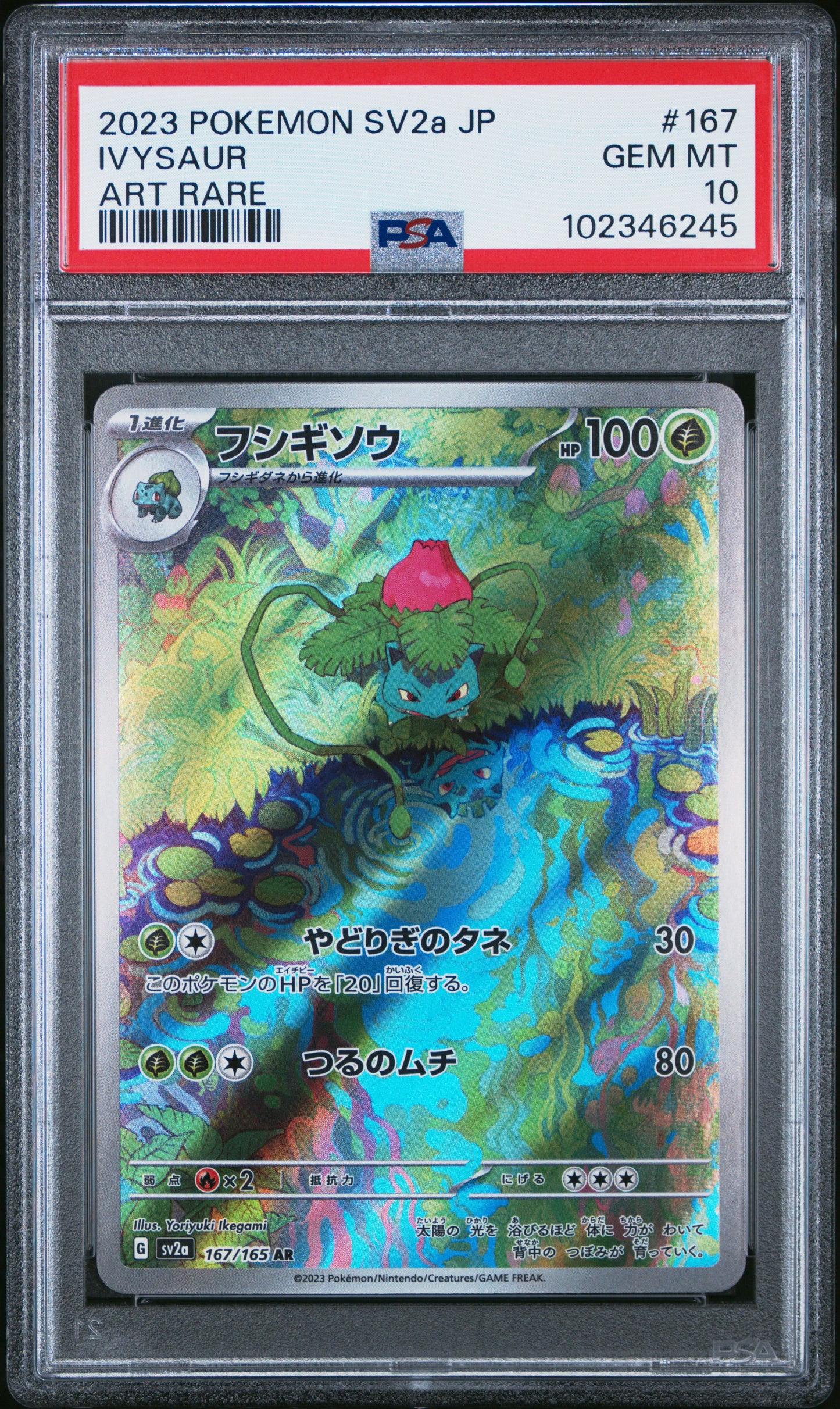 2023 POKEMON JAPANESE SV2a-POKEMON 151 #167 IVYSAUR - PSA GEM MT 10